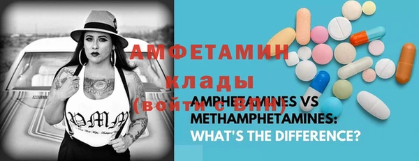 прущие грибы Яровое