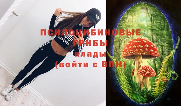 марихуана Белокуриха