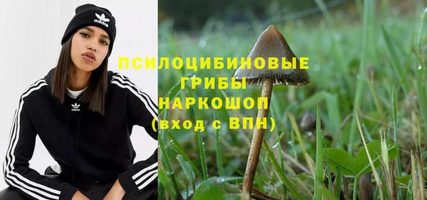 не бодяженный Аркадак