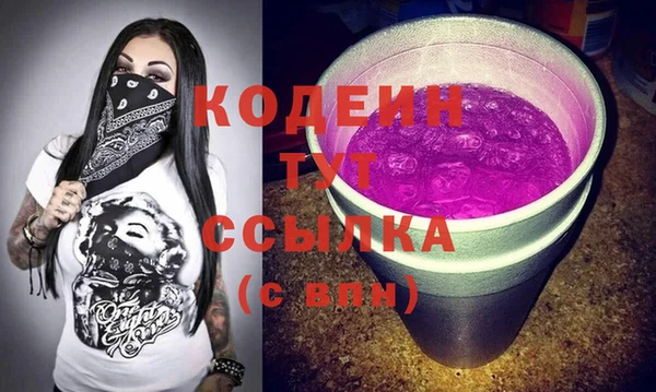 сатива Иннополис