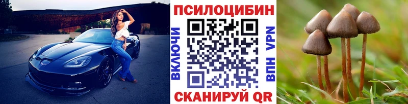 Псилоцибиновые грибы ЛСД  mega онион  Свирск 